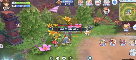 奥秘之花获取攻略(图4) 奥秘之花获取攻略(图4)