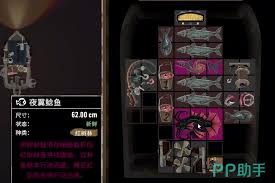 渔帆暗涌第二种鱼饵种类有哪些(图3) 渔帆暗涌第二种鱼饵种类有哪些(图3)